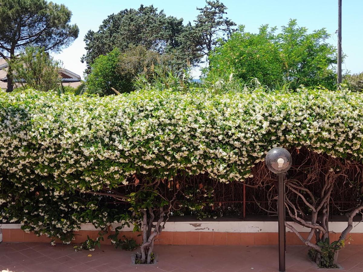 Guest House Al Mare Civitavecchia Dış mekan fotoğraf